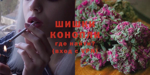 гашик Арсеньев