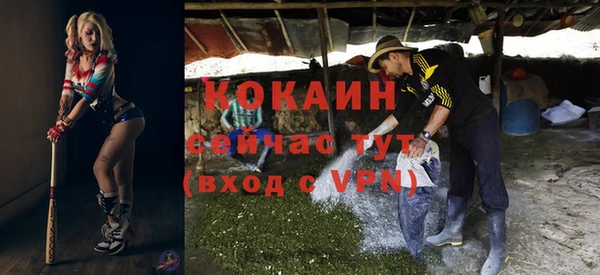 гашик Арсеньев