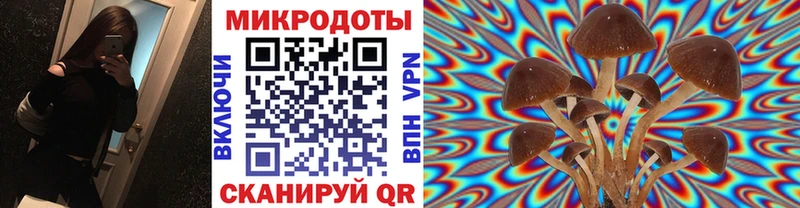 Псилоцибиновые грибы мицелий  Малоархангельск 